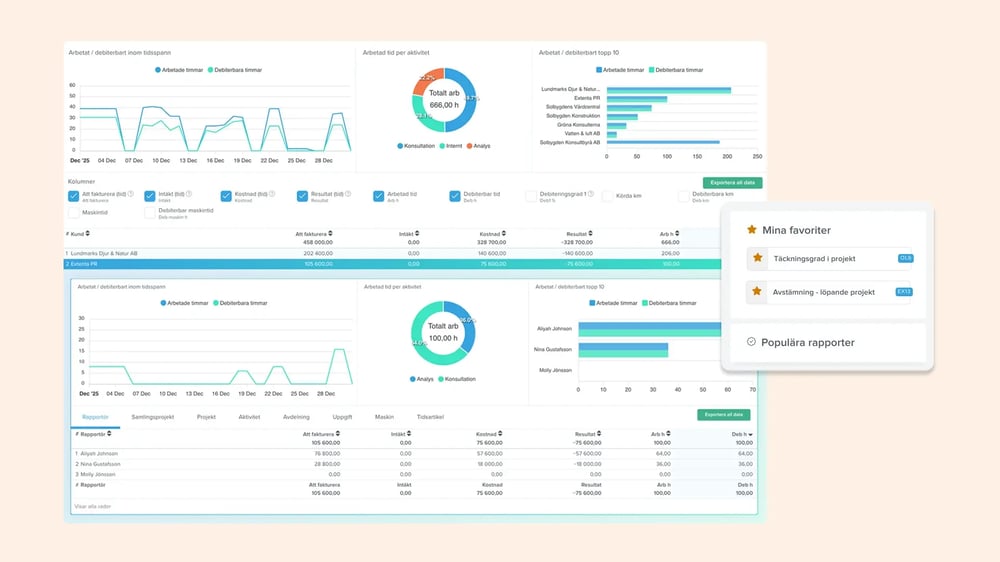 Djupgående lönsamhetsanalys i projekt