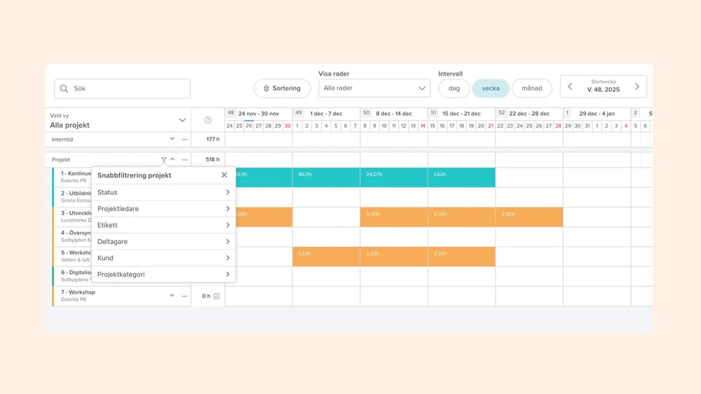 Filter och anpassade vyer